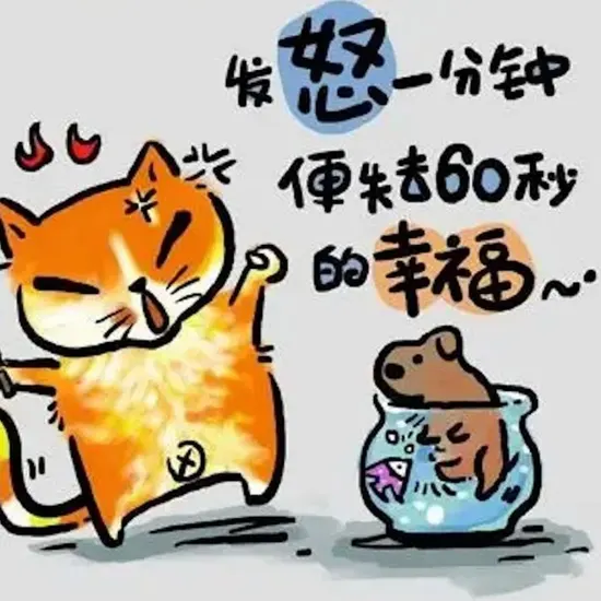 最新动漫4